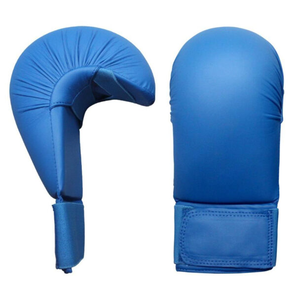 Karate Mitt