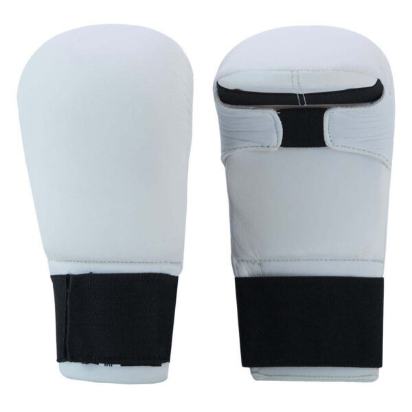 Karate Mitt